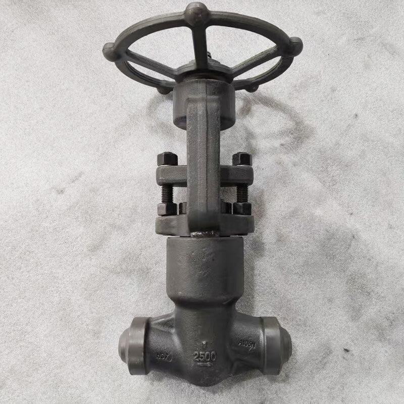 1 inch Globe Valve Class 2500 Pressure Sealed Bonnet Manufacturer