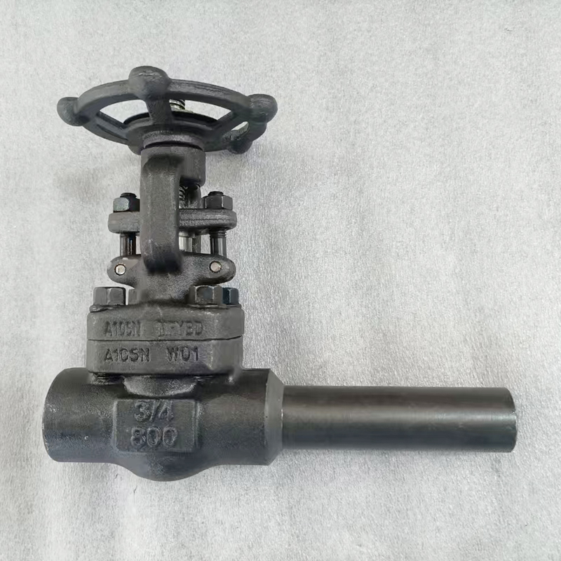 Forged Steel Globe Valve A105 Hauv Chav Kawm 800lb Nrog Txuas Rau Naj Txiv