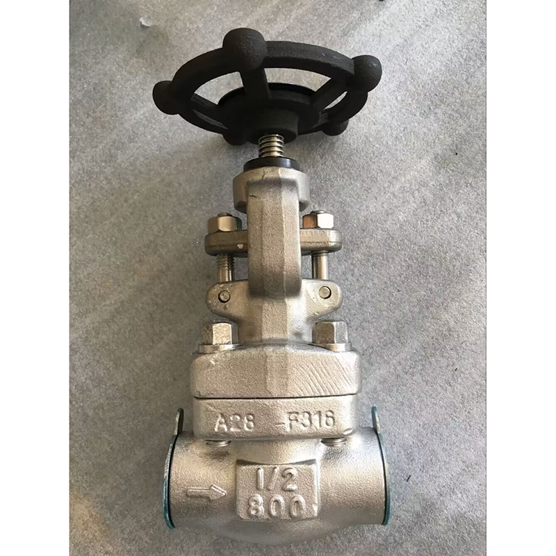 Globe Valve3