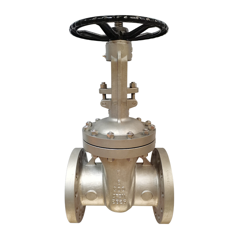 Stainless Steel Gate Valve