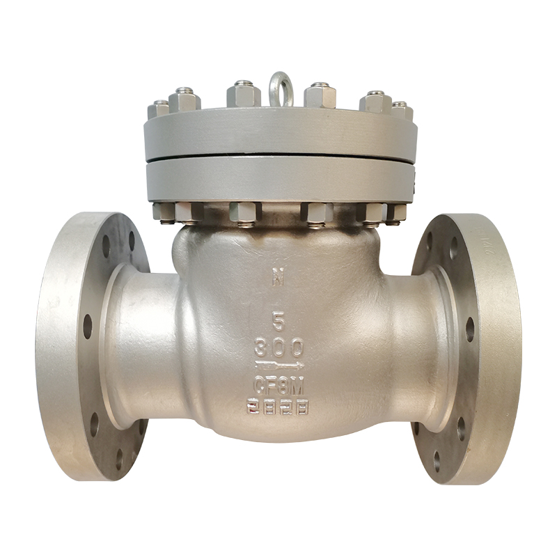 Stanless Steel Check Valve