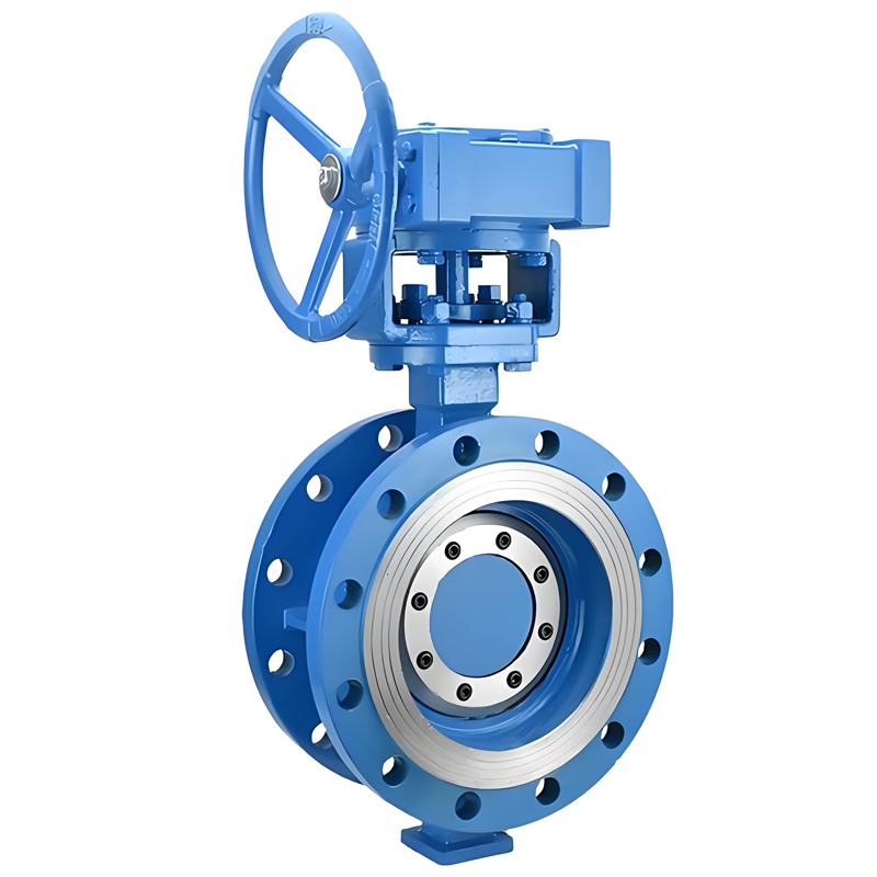 Venturi Tube Butterfly Valve